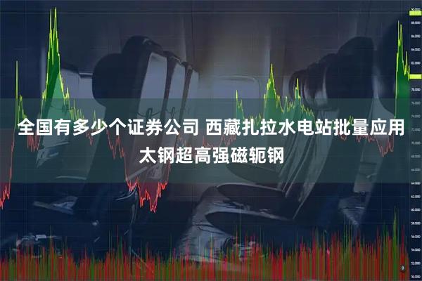 全国有多少个证券公司 西藏扎拉水电站批量应用太钢超高强磁轭钢