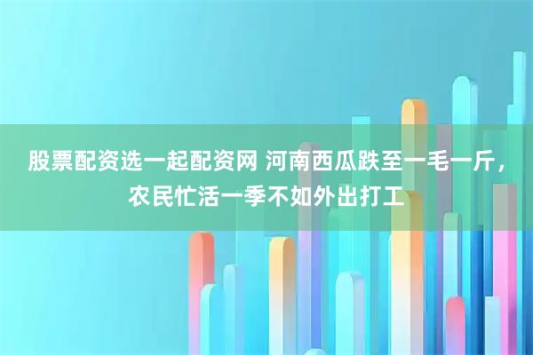 股票配资选一起配资网 河南西瓜跌至一毛一斤,农民忙活一季不如外出打工